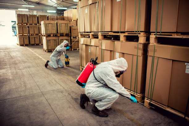 Best Exterminator Services  in Neosho, MO