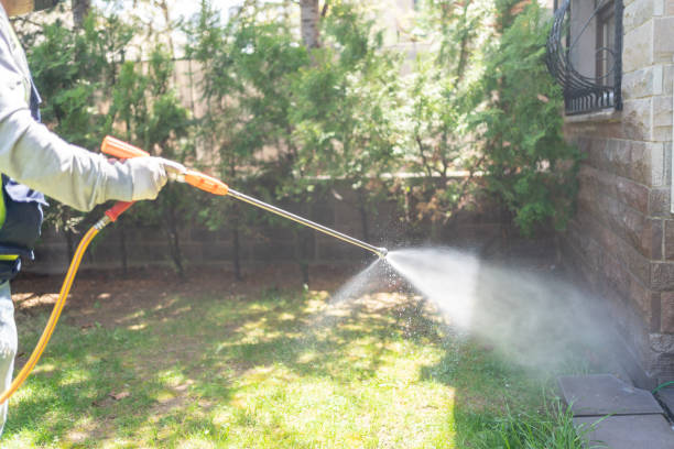 Insect Control in Neosho, MO