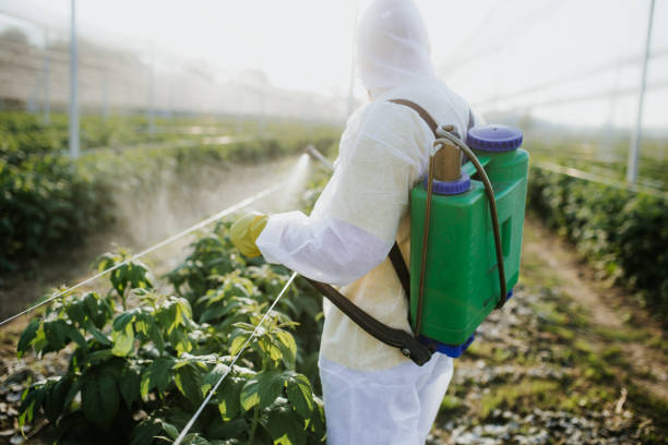 Best Exterminator Services  in Neosho, MO